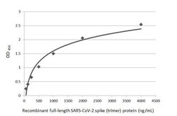 Invitrogen SARS/SARS-CoV-2 Spike Protein S2 Recombinant Rabbit Monoclonal