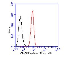 Invitrogen CEACAM6 Monoclonal Antibody (A1E3) 100 &mu;L; Unconjugated:Antibodies,