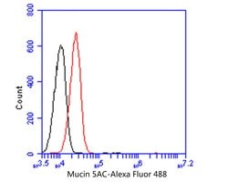 Invitrogen MUC5AC Monoclonal Antibody (A3H3) 100 &mu;L; Unconjugated:Antibodies,