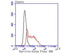 Invitrogen Survivin Recombinant Rabbit Monoclonal Antibody (SP07-06) 100
