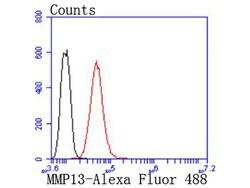 Invitrogen MMP13 Recombinant Rabbit Monoclonal Antibody (JF0893) 100 &mu;L;
