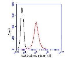 Invitrogen FADS1 Recombinant Rabbit Monoclonal Antibody (JE55-63) 100 &mu;L;