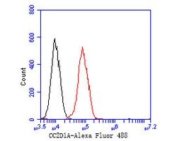 Invitrogen CC2D1A Recombinant Rabbit Monoclonal Antibody (JE55-34) 100 &mu;L | Buy Online | Invitrogen&trade; | Fisher Scientific