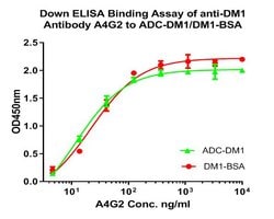 Invitrogen DM1 Monoclonal Antibody (A4G2) 100 &mu;L; Unconjugated:Antibodies,