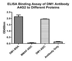 Invitrogen DM1 Monoclonal Antibody (A4G2) 100 &mu;L; Unconjugated:Antibodies,