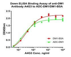 Invitrogen DM1 Monoclonal Antibody (A4G3) 100 &mu;L; Unconjugated:Antikörper