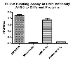 Invitrogen DM1 Monoclonal Antibody (A4G3) 100 &mu;L; Unconjugated:Antikörper