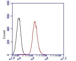 Invitrogen AGTR1 Monoclonal Antibody (11B3) 100 &mu;L; Unconjugated:Antibodies,