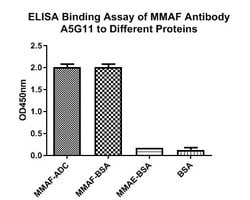 Invitrogen MMAF Monoclonal Antibody (A5G11) 100 &mu;L; Unconjugated:Antibodies,