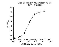Invitrogen Ebola Virus VP40 Monoclonal Antibody (A2-G7) 100 &mu;L; Unconjugated:Antibodies,