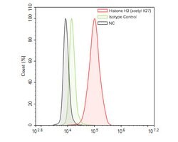 Invitrogen H3K27ac Monoclonal Antibody (A6D7) 100 &mu;L; Unconjugated:Antibodies,