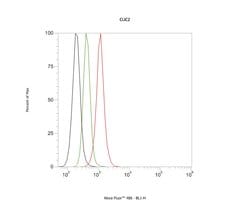 Invitrogen CLIC2 Monoclonal Antibody (A5G9) 100 &mu;L; Unconjugated:Antibodies,