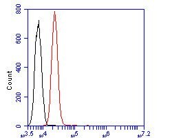Invitrogen CD166 (ALCAM) Monoclonal Antibody (11-6) 100 &mu;L; Unconjugated:Antibodies,