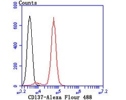 Invitrogen CD137 (4-1BB) Monoclonal Antibody (2G1) 100 &mu;L; Unconjugated:Antibodies,