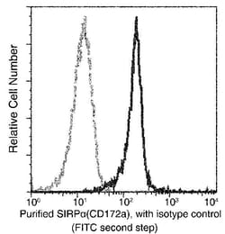 Invitrogen SIRP alpha Monoclonal Antibody (03), Invitrogen 50 &mu;L; Unconjugated:Antibodies,