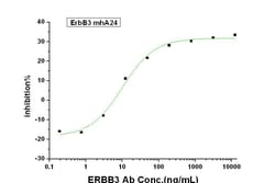 Invitrogen ErbB3 Chimeric Recombinant Human Monoclonal Antibody (mhA24)