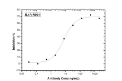 Invitrogen IL4R Recombinant Rabbit Monoclonal Antibody (R001) 200 &mu;g;
