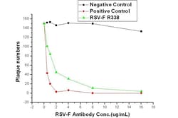 Invitrogen RSV Fusion Protein Recombinant Rabbit Monoclonal Antibody (R338)