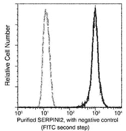 SERPINI2 Recombinant Rabbit Monoclonal Antibody (018), Invitrogen:Antibodies:Primary
