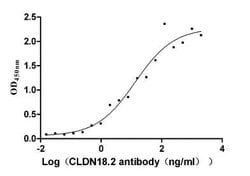 Invitrogen Claudin 18.2 Recombinant Human Monoclonal Antibody (9C2) 100