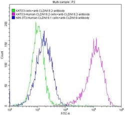 Invitrogen Claudin 18.2 Recombinant Human Monoclonal Antibody (9C2) 100