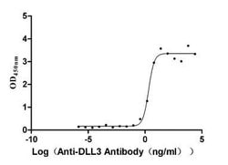 Invitrogen DLL3 Recombinant Human Monoclonal Antibody (7B7) 100 &mu;L;