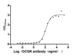 Invitrogen Glucagon Receptor Recombinant Human Monoclonal Antibody (9G1)