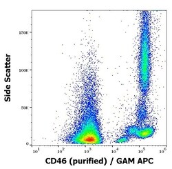 Invitrogen CD46 Monoclonal Antibody (MEM-258) 100 &mu;g | Buy Online | Invitrogen&trade; | Fisher Scientific