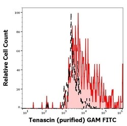 Invitrogen Tenascin C Monoclonal Antibody (T2H5) 100 &mu;g; Unconjugated:Antibodies,