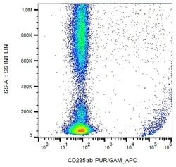 Invitrogen CD235a Monoclonal Antibody (HIR2) 100 &mu;g; Unconjugated:Antibodies,