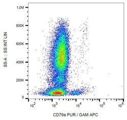 Invitrogen CD79a Monoclonal Antibody (HM57) 100 &mu;g | Buy Online | Invitrogen&trade; | Fisher Scientific