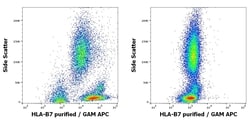 Invitrogen HLA-B7 Monoclonal Antibody (BB7.1) 100 &mu;g; Unconjugated:Antibodies,