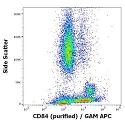 Invitrogen CD84 Monoclonal Antibody (CD84.1.21) 100 &mu;g; Unconjugated:Antibodies,