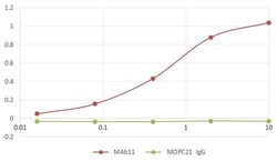 Invitrogen&trade;&nbsp;TNF alpha Monoclonal Antibody (MAb11)