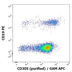 Invitrogen LAIR1 Monoclonal Antibody (NKTA255) 100 &mu;g; Unconjugated:Antibodies,