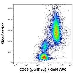 Invitrogen CD65 Monoclonal Antibody (VIM8) 100 &mu;g; Unconjugated:Antibodies,