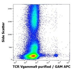 Invitrogen TCR V gamma 9 Monoclonal Antibody (B3) 100 &mu;g; Unconjugated:Antibodies,