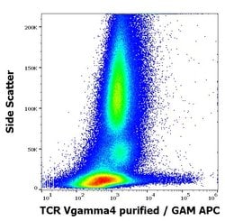 Invitrogen TCR V gamma 4 Monoclonal Antibody (4A11.904) 100 &mu;g; Unconjugated:Antibodies,