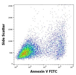 Invitrogen TRAIL Monoclonal Antibody (2E5) 100 &mu;g; Unconjugated:Antibodies,