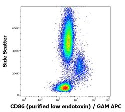 Invitrogen CD86 Monoclonal Antibody (BU63) 100 &mu;g | Buy Online | Invitrogen&trade; | Fisher Scientific