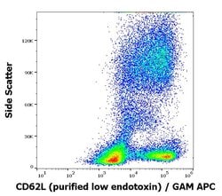Invitrogen CD62L Monoclonal Antibody (DREG56) 100 &mu;g; Unconjugated:Anticuerpos
