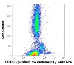 Invitrogen CD180 Monoclonal Antibody (G28-8) 100 &mu;g | Buy Online | Invitrogen&trade; | Fisher Scientific