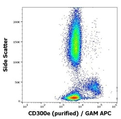Invitrogen CD300e Monoclonal Antibody (UP-H2) 100 &mu;g; Unconjugated:Antibodies,