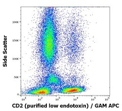 Invitrogen CD2 Monoclonal Antibody (TS1/8) 100 &mu;g; Unconjugated:Antibodies,
