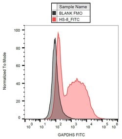 Invitrogen GAPDHS Monoclonal Antibody (Hs-8), FITC 50 Tests; FITC:Antibodies,