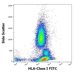 Invitrogen HLA-ABC Monoclonal Antibody (W6/32), FITC 100 &mu;g; FITC:Antibodies,
