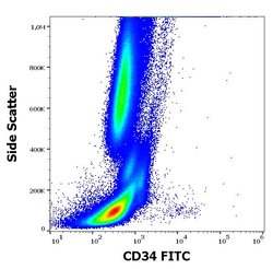 Invitrogen CD34 Monoclonal Antibody (581), FITC 100 Tests; FITC:Antibodies,