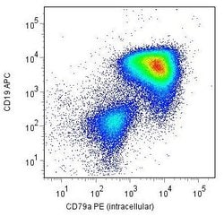 Invitrogen&trade;&nbsp;CD79a Monoclonal Antibody (HM57), PE