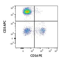 Invitrogen CD16 Monoclonal Antibody (3G8), PE 100 Tests | Buy Online | Invitrogen&trade; | Fisher Scientific
