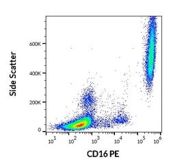 Invitrogen CD16 Monoclonal Antibody (3G8), PE 100 Tests | Buy Online | Invitrogen&trade; | Fisher Scientific